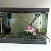 20140430_164912.jpg