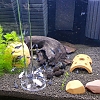 20150131_222633.jpg