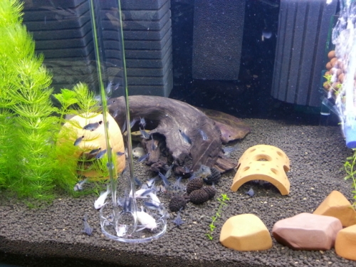 20150131_222633.jpg