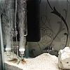 20150310_2038164.jpg