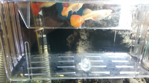 20150401_195143.jpg