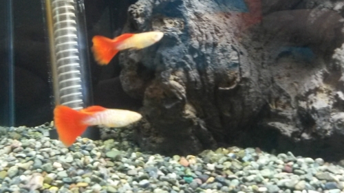 20150402_120149.jpg