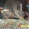 20150401_141640.jpg