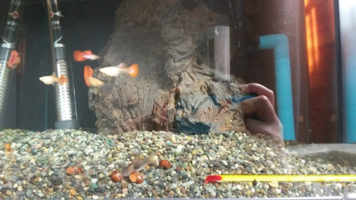 20150401_141640.jpg