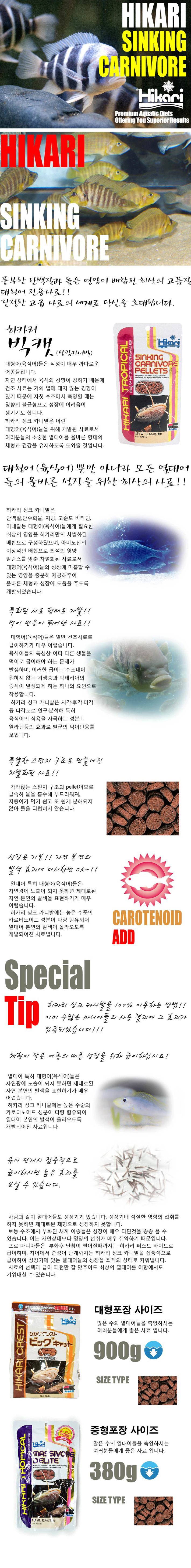 히카리 빅캣 내용.jpg