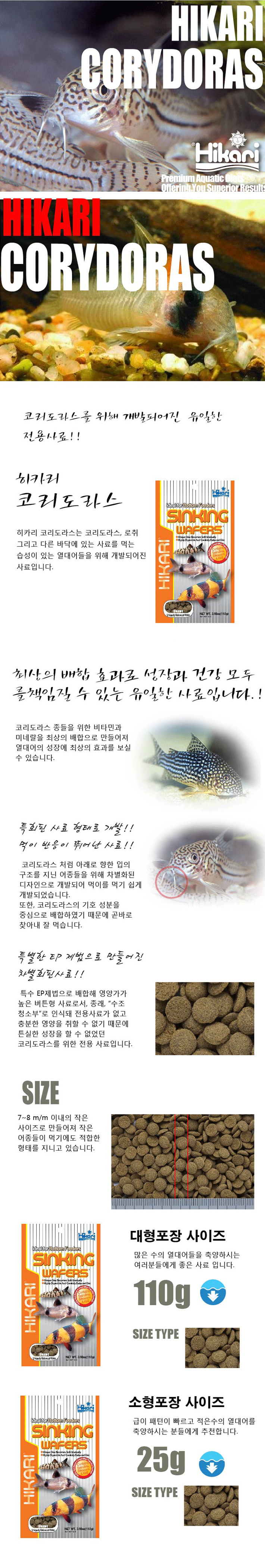 히카리 코리도라스 내용 사본.jpg