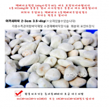 백자갈 2-3cm 4kg