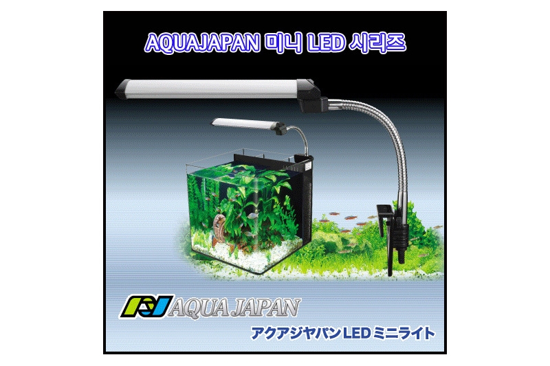 아쿠아재팬 AJ30 LED 30cm(화이트&블루)