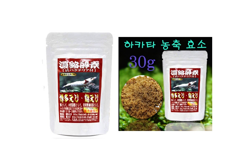 하카타 농축효소 30g