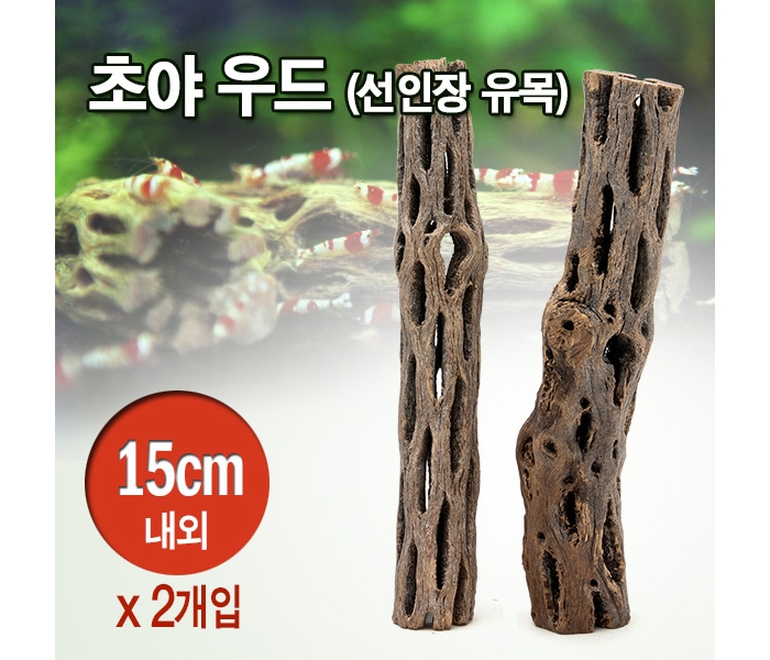 초야우드 (선인장유목) [15Cm 2개입]