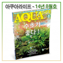 아쿠아라이프 2014년 08월호