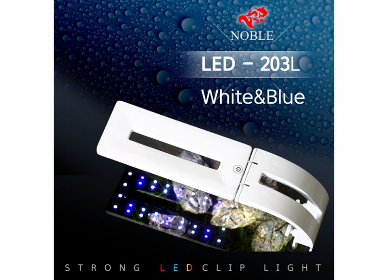 노블 LED-203L(화이트&블루) 1~1.5자용