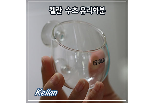 [K028]켈란 수초 유리화분