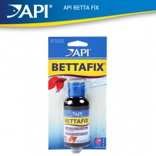 API 베타픽스 (Bettafix)