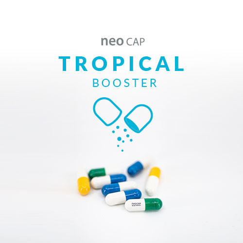 NEO CAP BOOSTER TROPICAL 20정